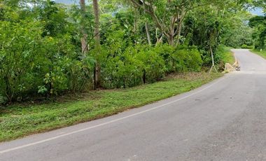 A un paso de Tarapoto, pero inmerso en la tranquilidad de la naturaleza, 1.36 hectáreas a pie de carretera.