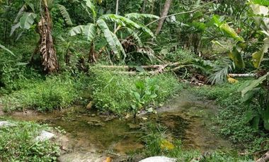 A un paso de Tarapoto, pero inmerso en la tranquilidad de la naturaleza, 1.36 hectáreas a pie de carretera.
