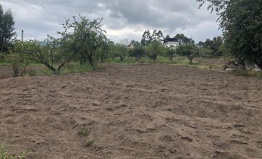 En Tisaleo, provincia de Tungurahua vendo linda propiedad con casa, amoblada