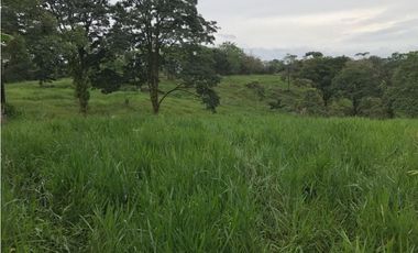 Venta de finca ideal para reforestación en Mariato/Torio/Sona GTA
