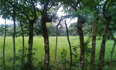 Venta de finca ideal para reforestación en Mariato/Torio/Sona GTA