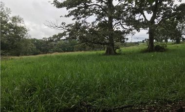 Venta de finca ideal para reforestación en Mariato/Torio/Sona GTA