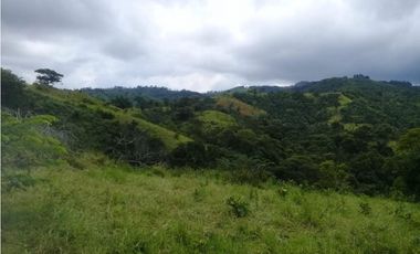 Venta de finca ideal para reforestación en Mariato/Torio/Sona GTA