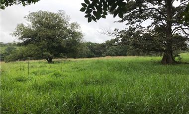 Venta de finca ideal para reforestación en Mariato/Torio/Sona GTA