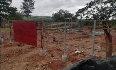 Venta de finca ideal para reforestación en Mariato/Torio/Sona GTA