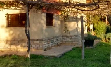 Oportunidad. Chacra en producción con vivienda POMONA   U$s 9500 la hectárea