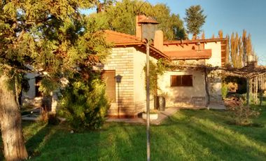 Oportunidad. Chacra en producción con vivienda POMONA   U$s 9500 la hectárea