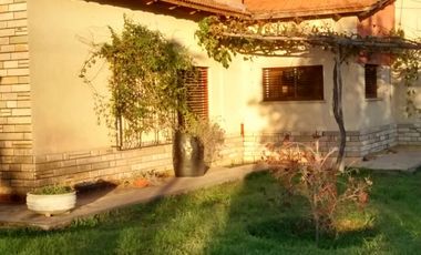 Oportunidad. Chacra en producción con vivienda POMONA   U$s 9500 la hectárea