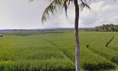 Land for sale, views of the sea, rice fields and mountains in Bali