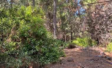 Parcela en Venta en Punta Norte