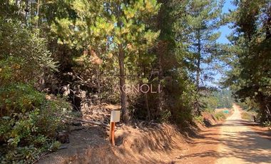 Parcela en Venta en Punta Norte