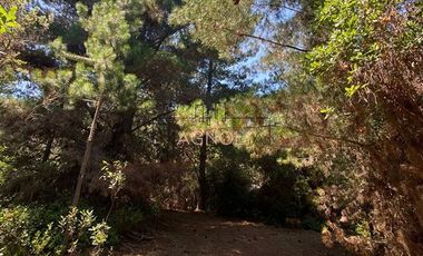 Parcela en Venta en Punta Norte