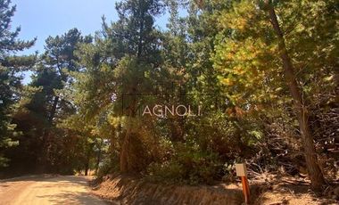 Parcela en Venta en Punta Norte