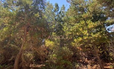 Parcela en Venta en Punta Norte