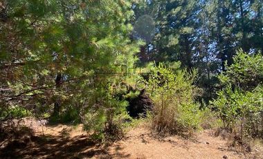 Parcela en Venta en Punta Norte