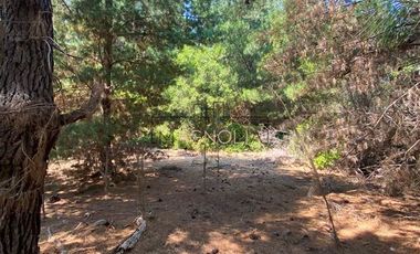 Parcela en Venta en Punta Norte