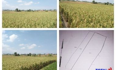 Tanah dijual di Bali, Badung