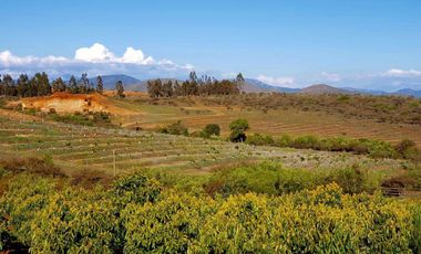 100 has Carretera de la Fruta - 25km de puerto de San Antonio