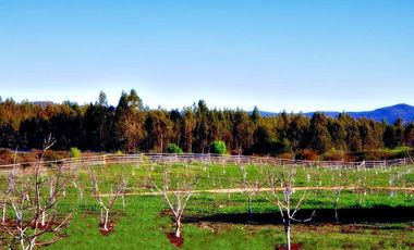 100 has Carretera de la Fruta - 25km de puerto de San Antonio