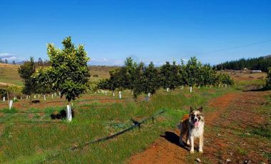 100 has Carretera de la Fruta - 25km de puerto de San Antonio