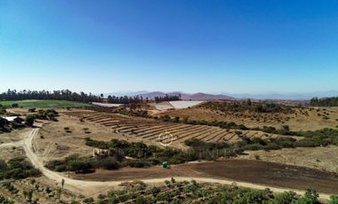 100 has Carretera de la Fruta - 25km de puerto de San Antonio