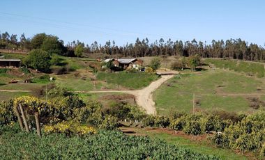 100 has Carretera de la Fruta - 25km de puerto de San Antonio
