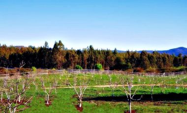 100 has Carretera de la Fruta - 25km de puerto de San Antonio