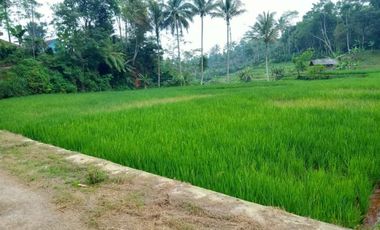 Tanah sawah pinggir jalan desa dekat pemukiman Bandung Barat