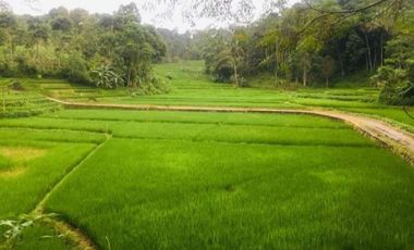 Tanah sawah pinggir jalan desa dekat pemukiman Bandung Barat