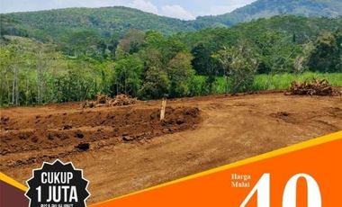 Tanah kavling cakrawala Malang dipakisaji perbatasan Wagir