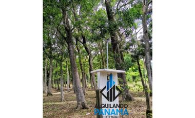 Se Vende Finca Agropecuaria 12.85Ha USD1,285,493Chame