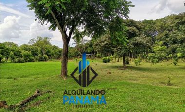Se Vende Finca Agropecuaria 12.85Ha USD1,285,493Chame