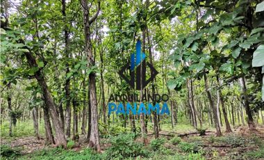 Se Vende Finca Agropecuaria 12.85Ha USD1,285,493Chame