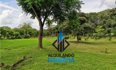 Se Vende Finca Agropecuaria 12.85Ha USD1,285,493Chame