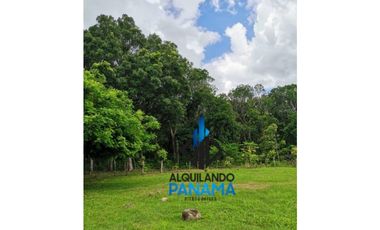 Se Vende Finca Agropecuaria 12.85Ha USD1,285,493Chame