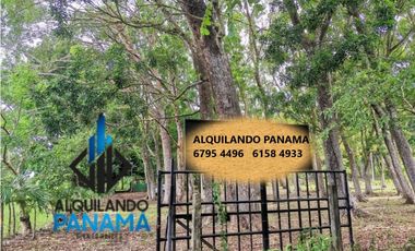 Se Vende Finca Agropecuaria 12.85Ha USD1,285,493Chame