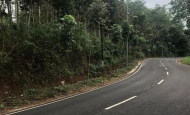 Jual Tanah Sangat Luas kawasan Desa Bundelan Kabupaten Bondowoso