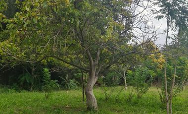 CASA EN SAÑOGASTA 2000