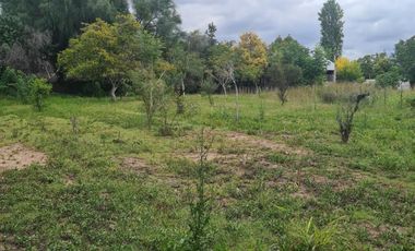 CASA EN SAÑOGASTA 2000