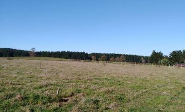 Vendemos Hermosa Parcela De Agrado 1,1h Camino Freire -villarrica