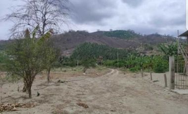 SE VENDEN 8.8 HECTREAS EN MEJIA PARA PROYECTO INVERSIÓN