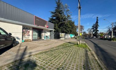 Local Comercial P. De Gales - La Reina