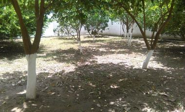 VENTA CASA FINCA EN SEVILLA MAGDALENA