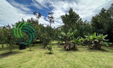 lote en venta en barroblanco. Cod V61788