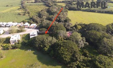 Exclusivo y Amplio Terreno Arbolado Elite en Venta en Altozano Colima