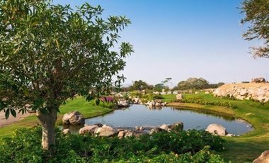 Exclusivo y Amplio Terreno Arbolado Elite en Venta en Altozano Colima