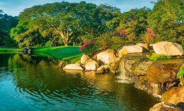 Exclusivo y Amplio Terreno Arbolado Elite en Venta en Altozano Colima