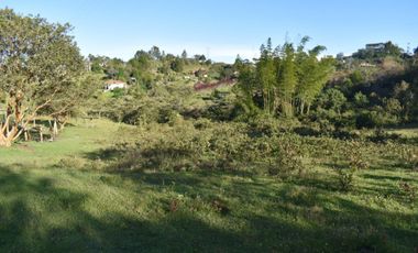 Venta de Lote Rionegro Vereda Abreo