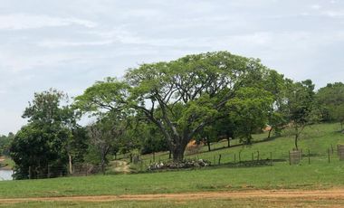 lote en venta en lagos de maracaibo. Cod V9184