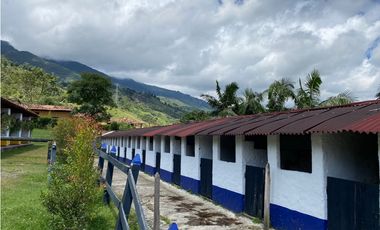 HERMOSA FINCA CAMPAESINA EN LA ESTRELLA